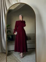 Velvet dress ✨ - Image 3